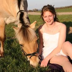 Fjordhest Frida (Tidl. pony;()