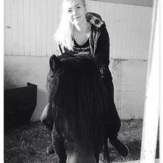 Dartmoor Anc-Neu Kao