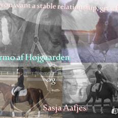 New Forest Palermo af Højgaarden - SOLGT