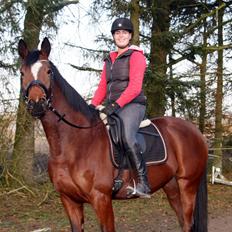 Trakehner Lady [Tidl. hest]