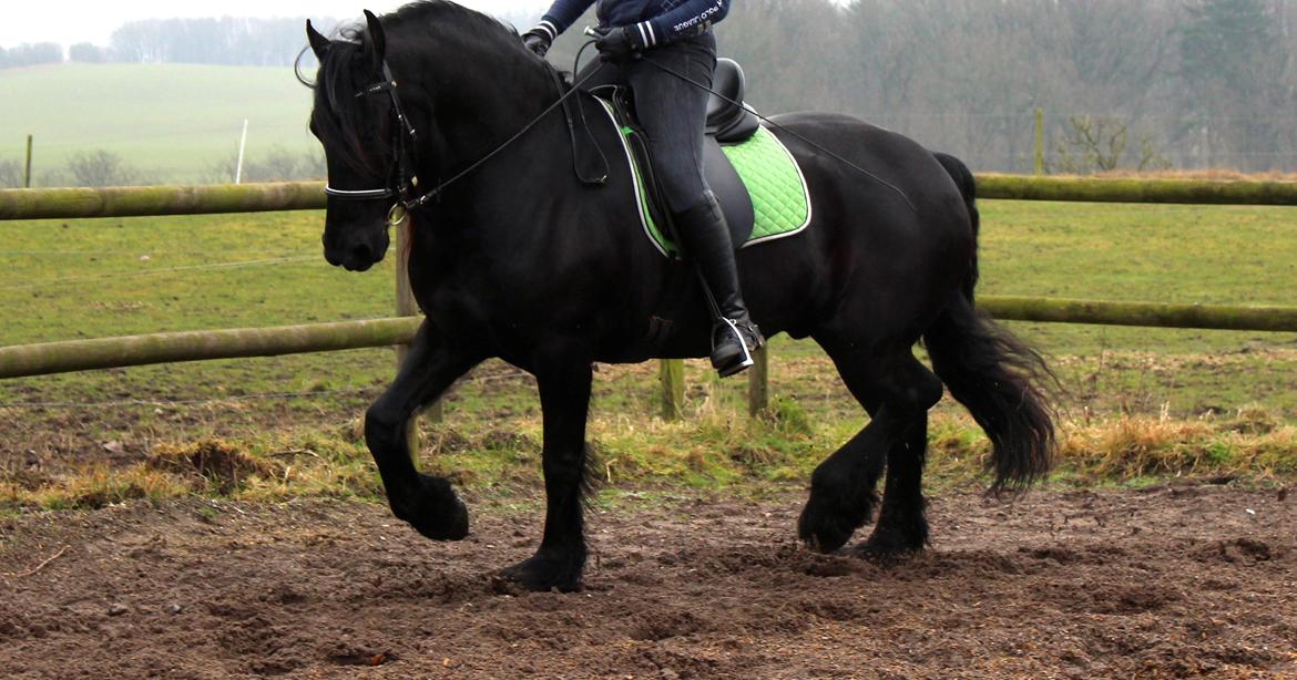 Frieser Nando af Banegården billede 14