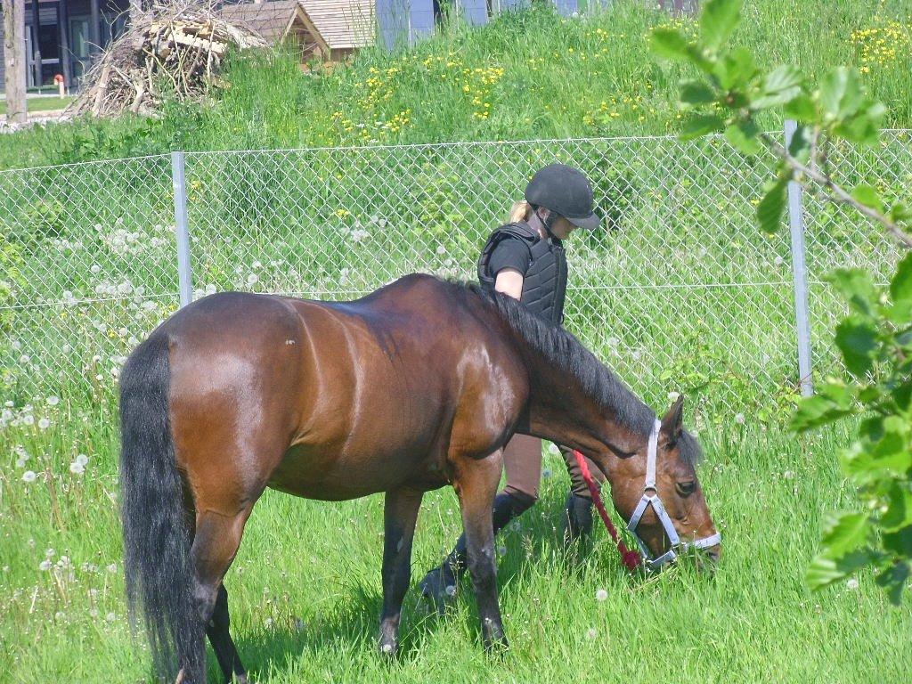 Connemara Tobæks Isabella <3 billede 20