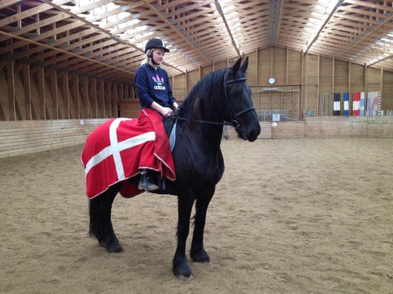 Frieser Jeltsje Fza Sonderladegaard billede 5