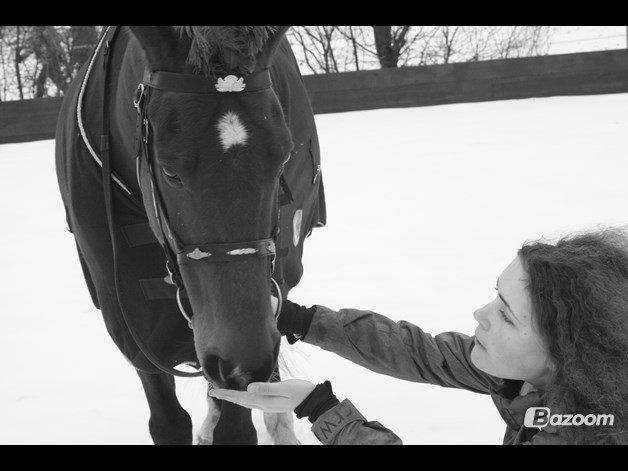 Traver Alex GT  hvil i fred <3 billede 3