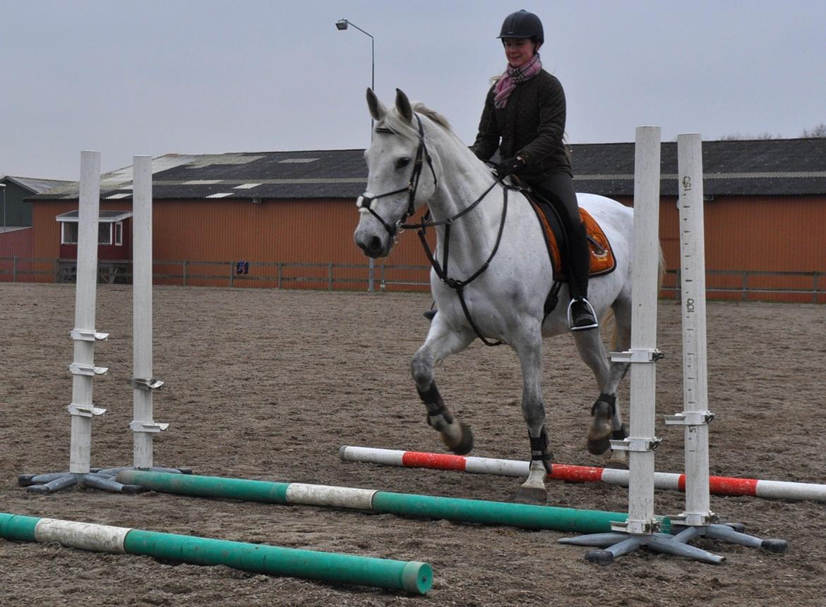 Anden særlig race Frk Freja - Bommelum ;) billede 3