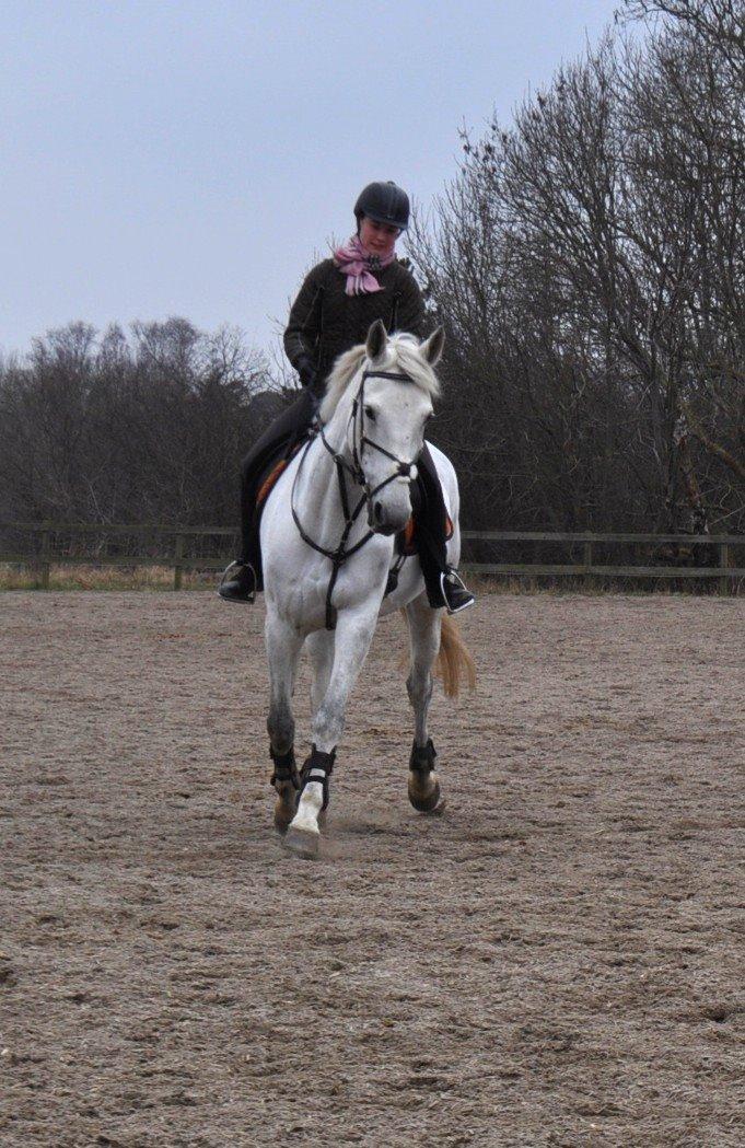 Anden særlig race Frk Freja billede 2