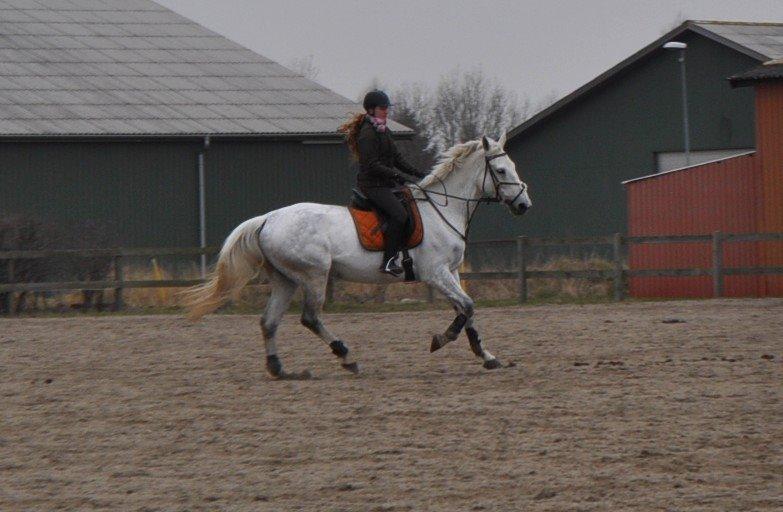 Anden særlig race Frk Freja billede 5