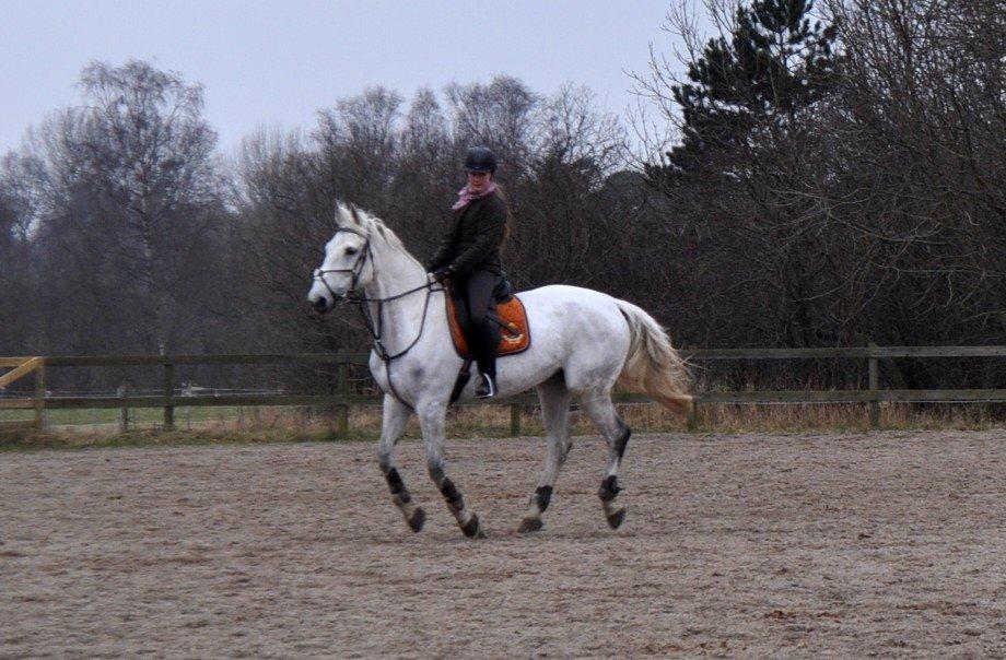 Anden særlig race Frk Freja billede 4