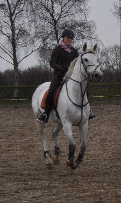 Anden særlig race Frk Freja billede 7