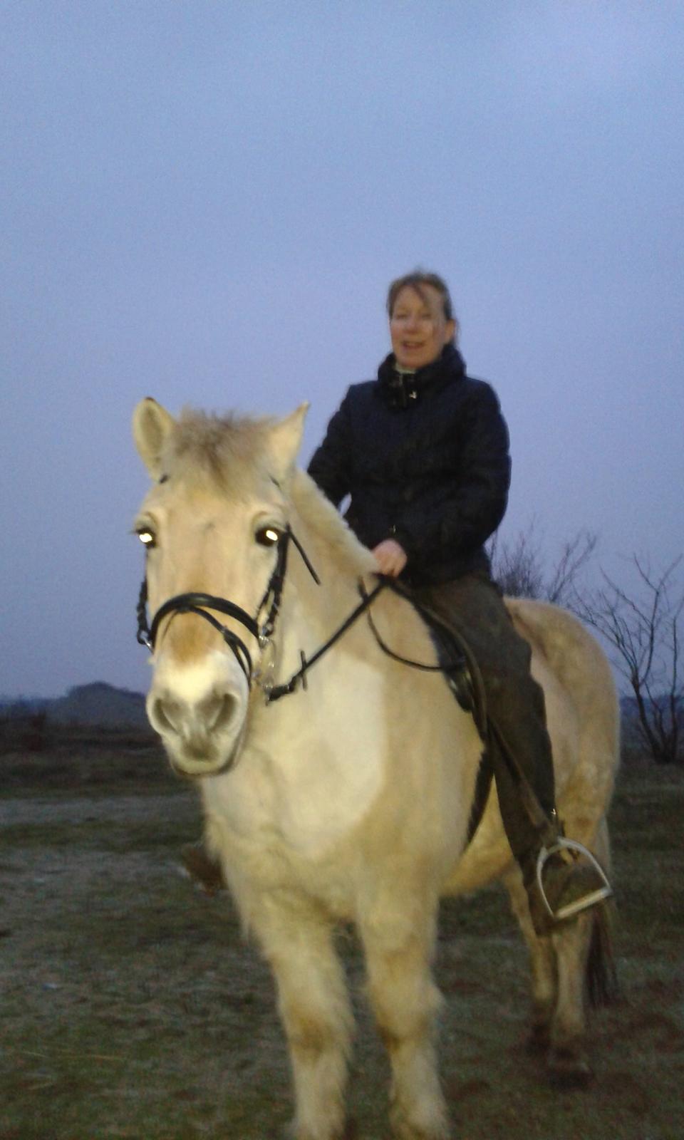 Anden særlig race Laban billede 6