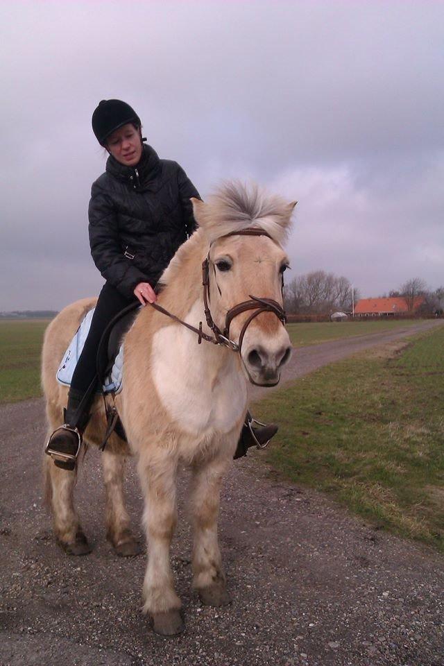 Anden særlig race Laban billede 8