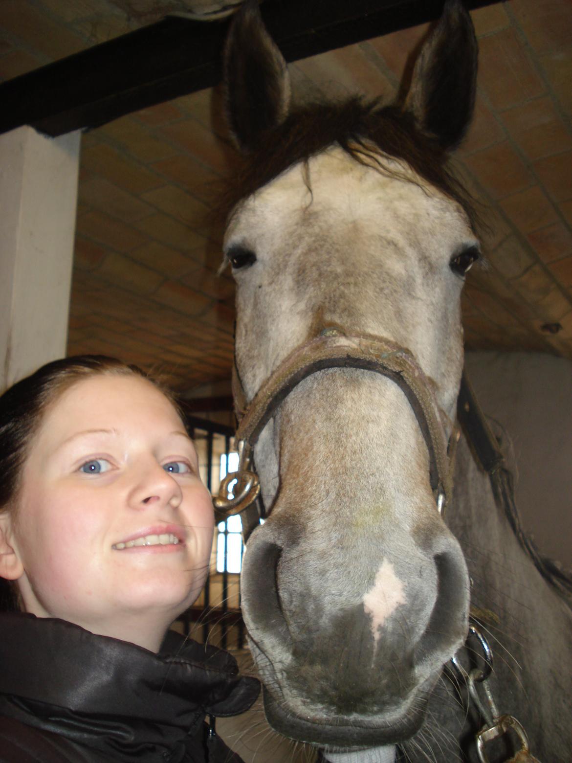 Holstener Blue Boy - Mig og min smukke hest. Han elsker at få taget billeder.. hihih billede 15