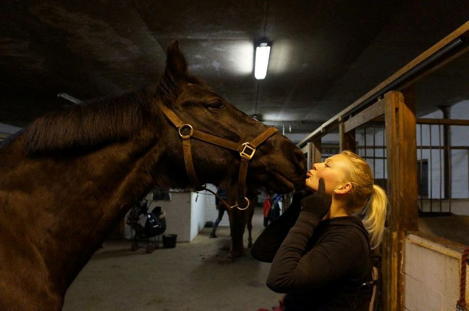 Anden særlig race Amigo - Mit eventyr - Gi'r moar en mys, søde pruhust  billede 20