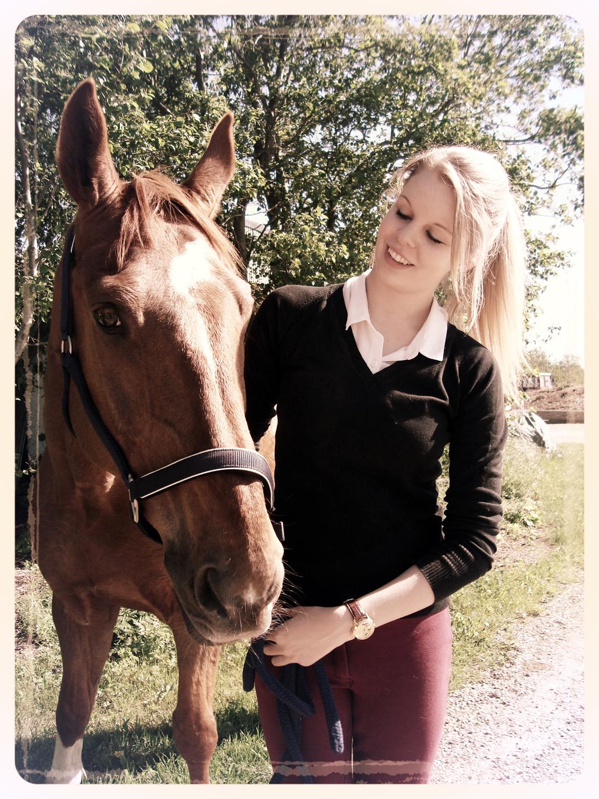 Dansk Varmblod Activ billede 19