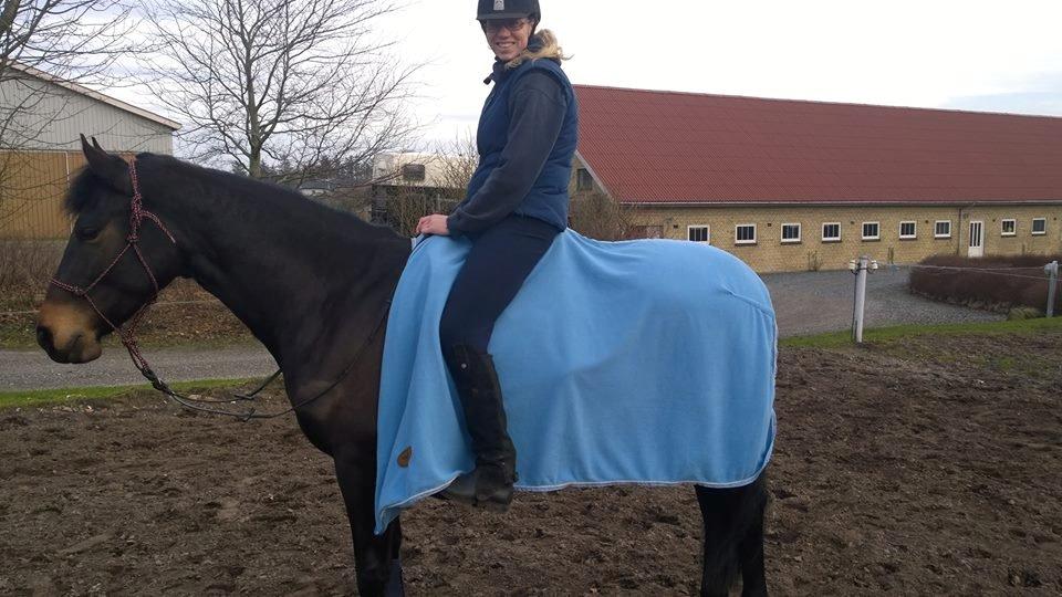 Barockpinto Gazella Frieserly billede 3