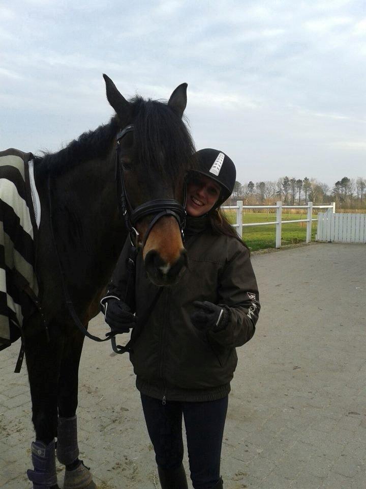 Dansk Varmblod Lunderup's Larina RDH - Dejlige hest <3 billede 2