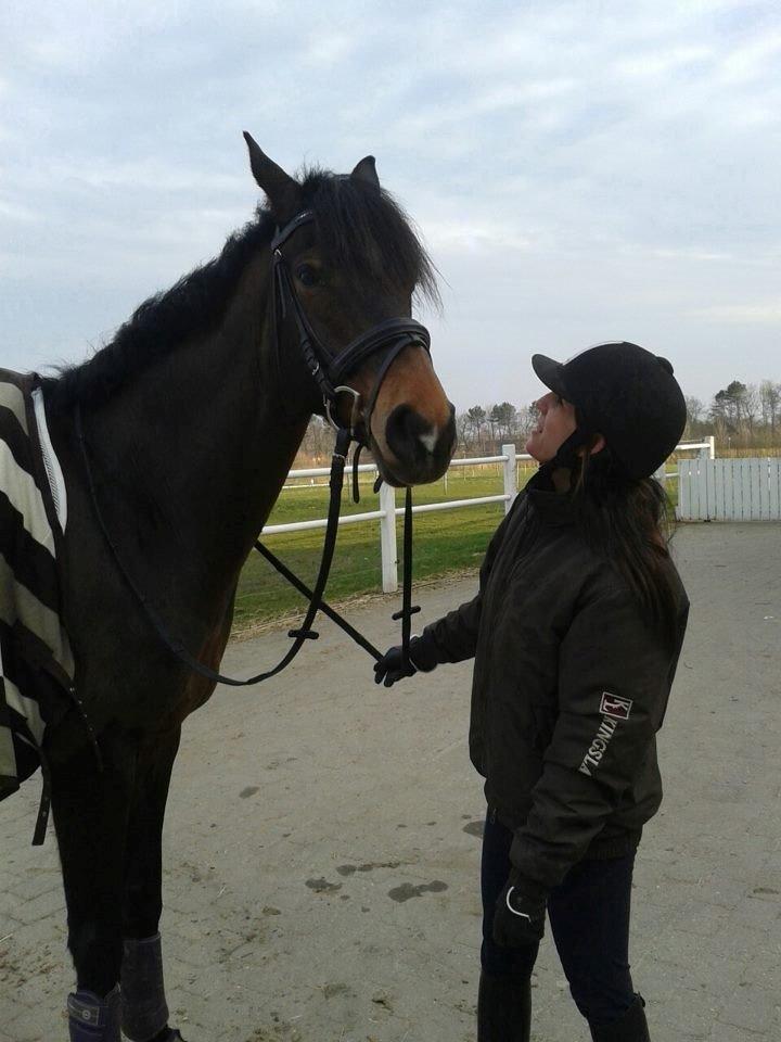 Dansk Varmblod Lunderup's Larina RDH billede 4