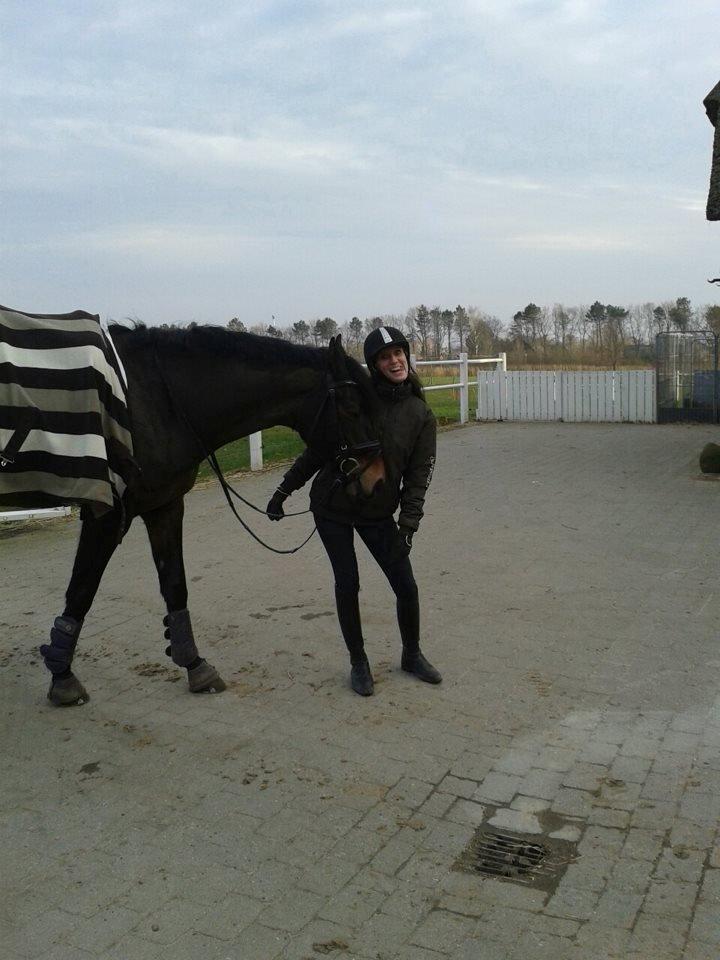 Dansk Varmblod Lunderup's Larina RDH - En meget træt Larina <3  billede 5