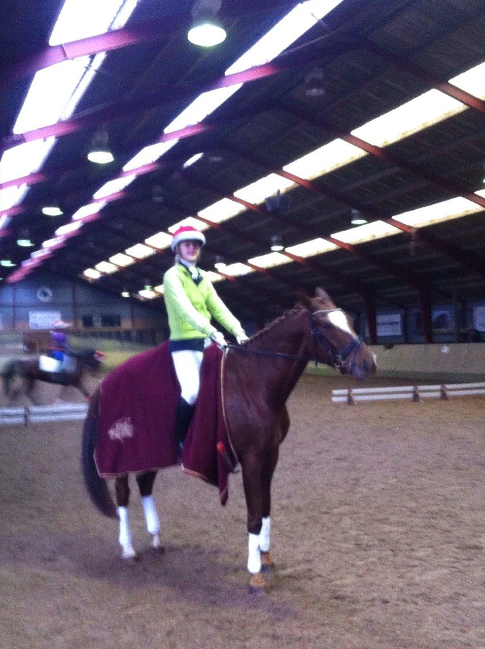 Dansk Varmblod Ejerbækgårds Zaggary -Røde - Til hans første stævne i LD1 - 64% billede 6