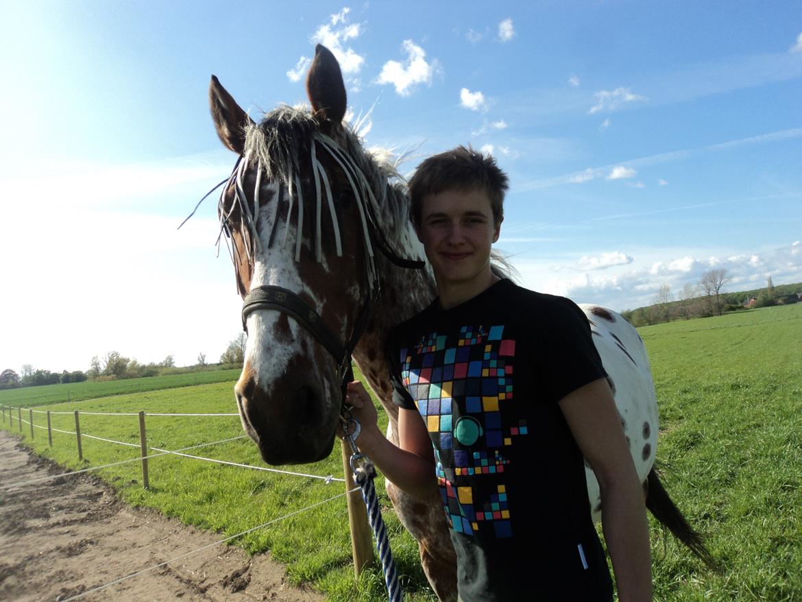 Knabstrupper Coco - Kæresten og coco billede 20