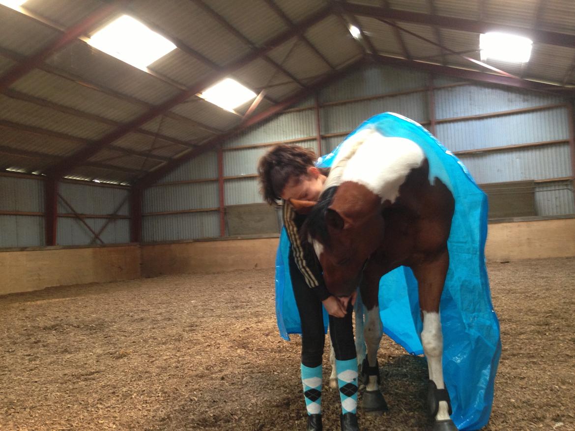 Paint Wild Fire billede 10