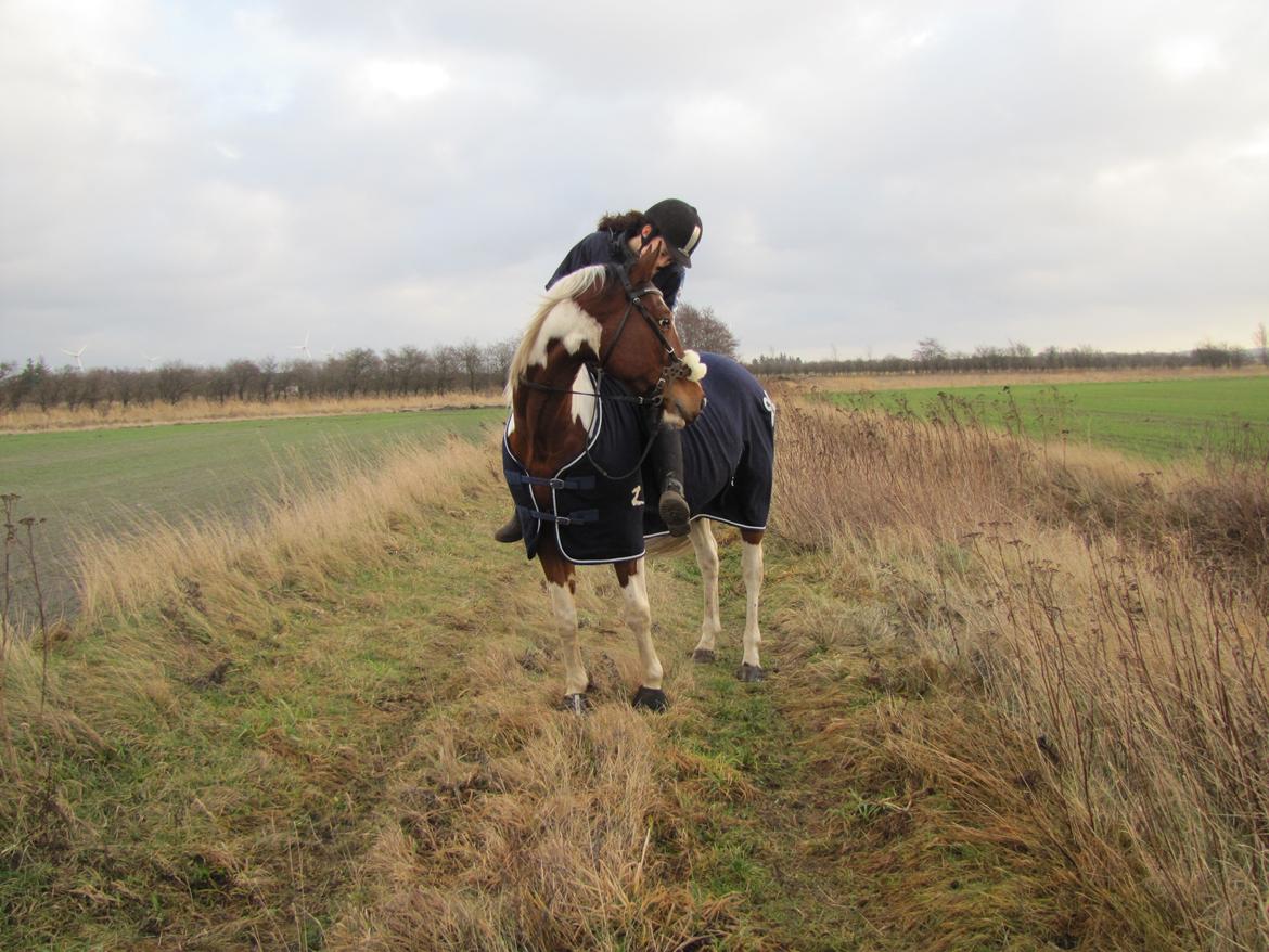 Paint Wild Fire billede 3