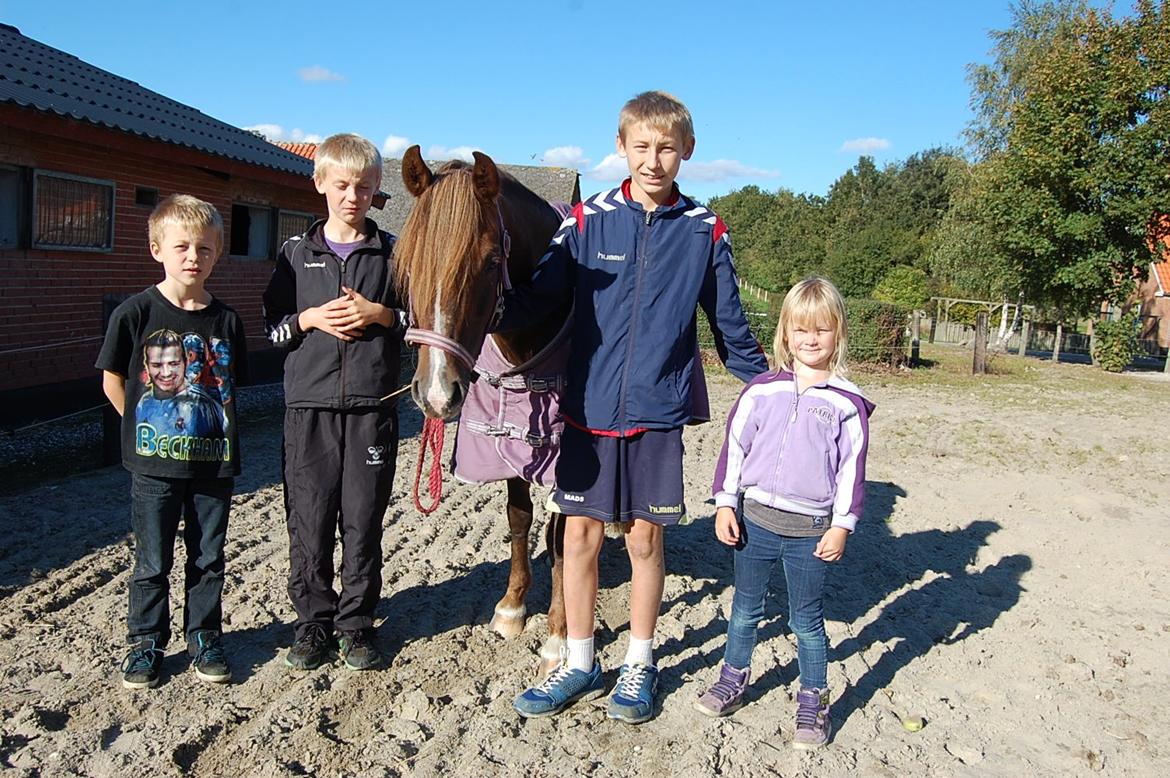 Welsh Pony (sec B) Keilkær Zerlina R.I.P. - 1 oktober 2013, dejlige pige sammen med mine børn <3 billede 9