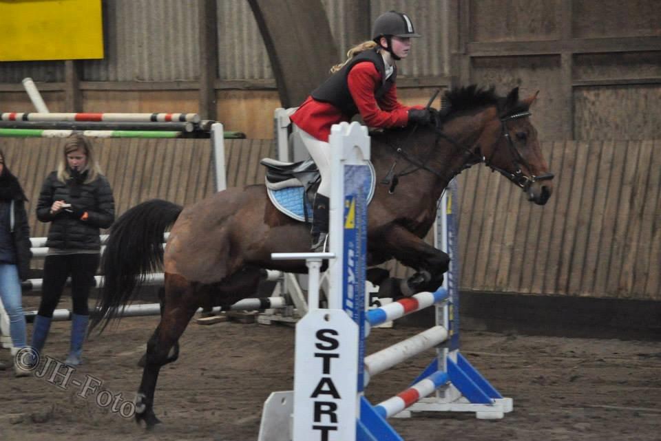 Hollandsk Sportspony Melanie's Lady  B-PONY - *Taget Af JH-Foto* //Julie billede 8