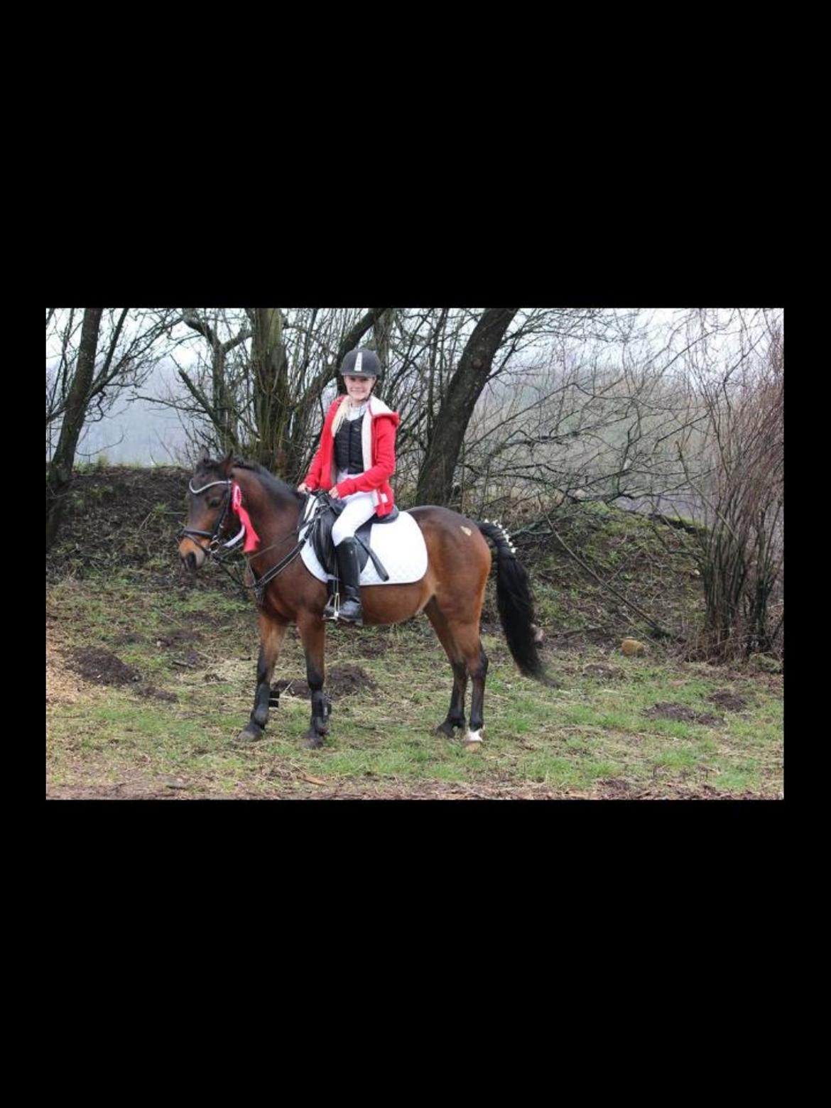 Anden særlig race Dior billede 1