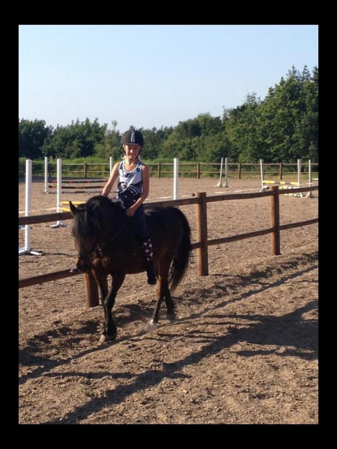 Anden særlig race Dior billede 3