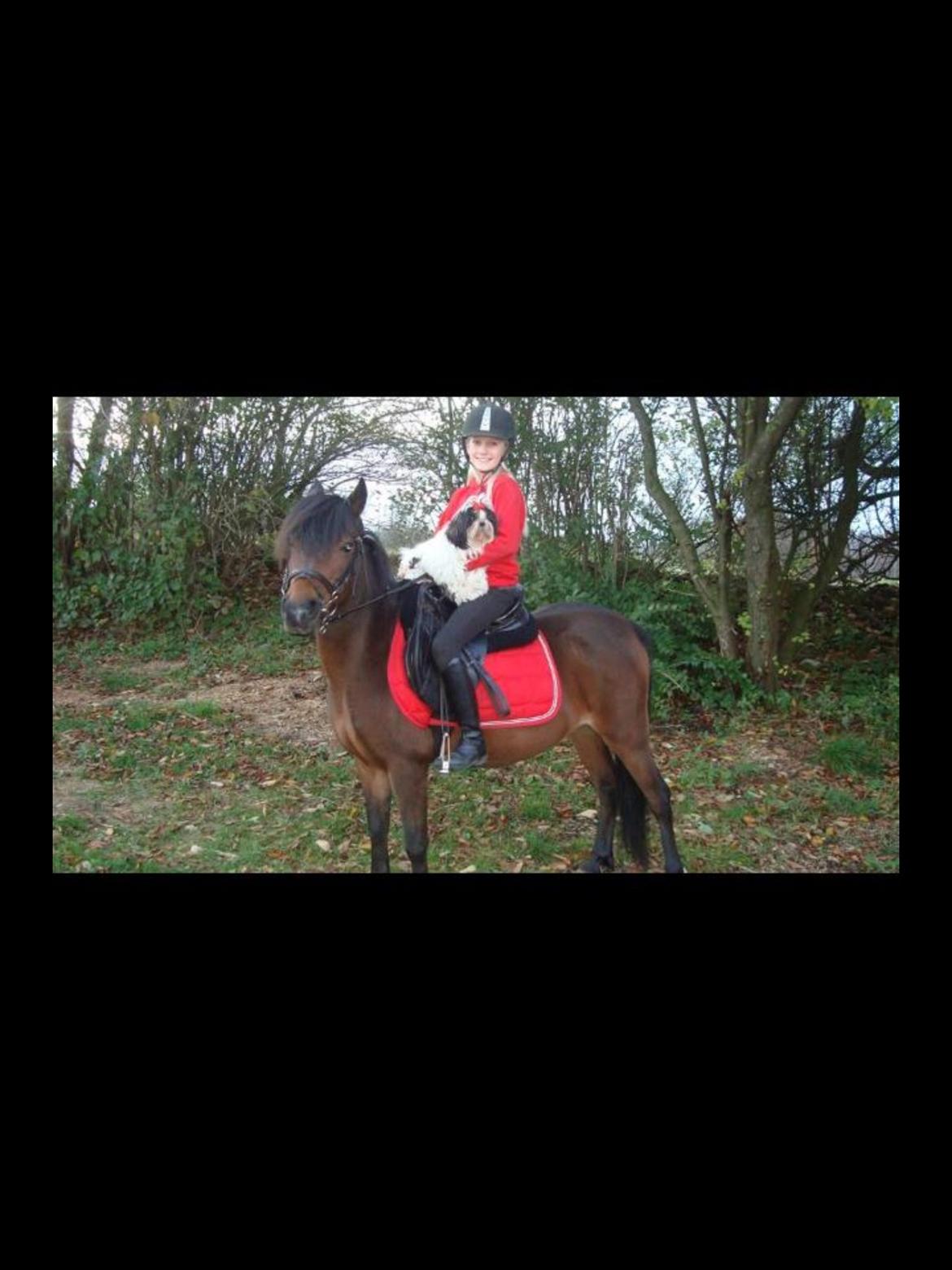 Anden særlig race Dior billede 4