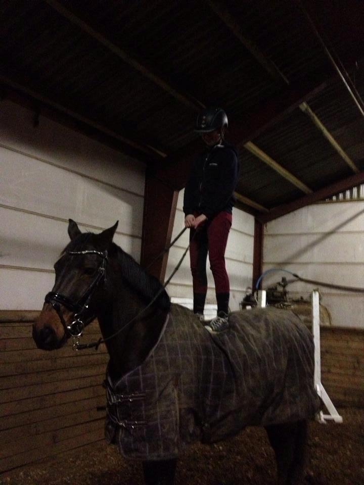 Anden særlig race Sputnik (Sprutte) - Jeg stoler mere på dette dyr end nogen anden <3 billede 9