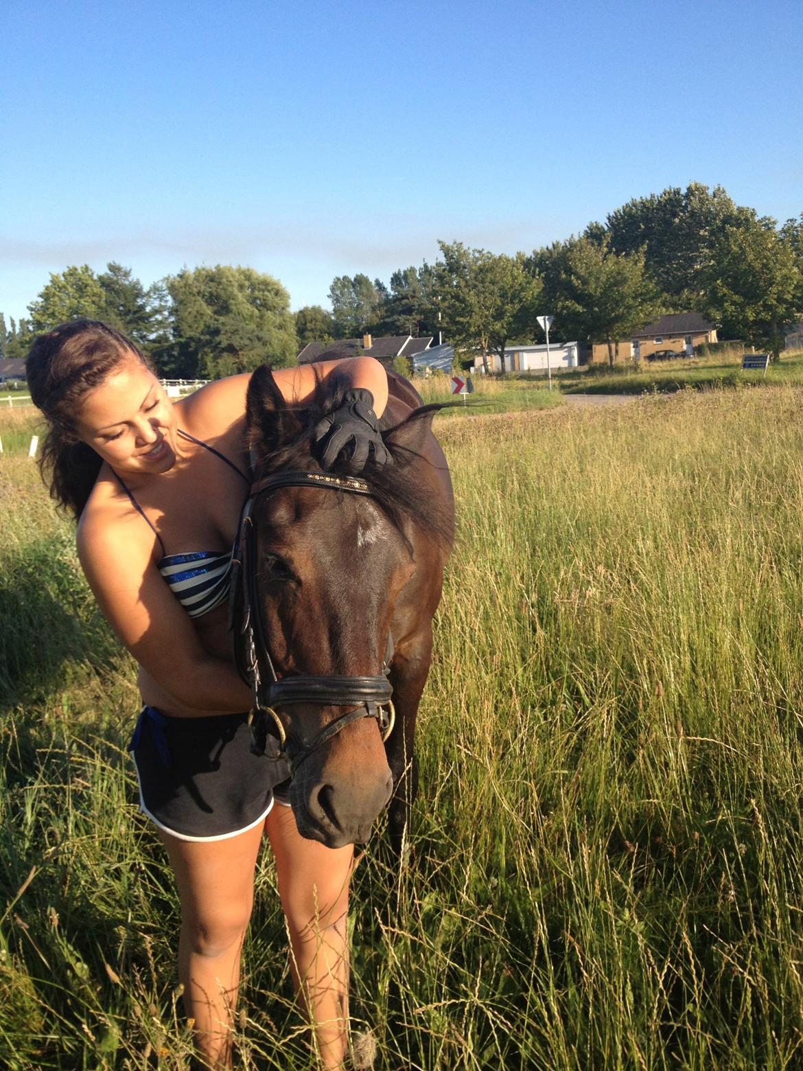 New Forest Romeo's Chicco billede 15