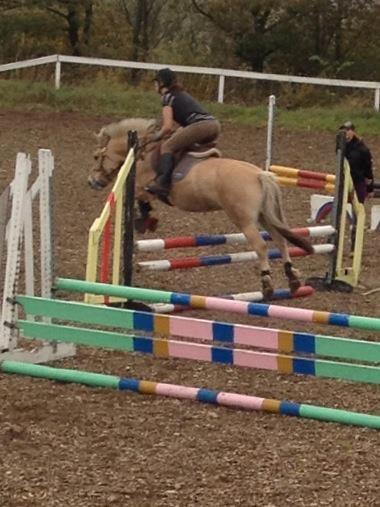 Fjordhest Frida (Tidl. pony;() - 70 cm for første gang i laaaaang tid!! billede 6