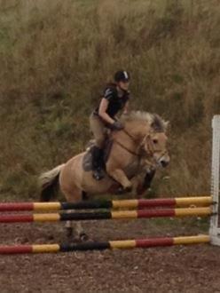 Fjordhest Frida (Tidl. pony;() - Hvor ser hun tyk ud!! billede 5