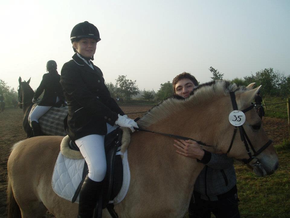 Fjordhest Frida (Tidl. pony;() - Områdemester! billede 17