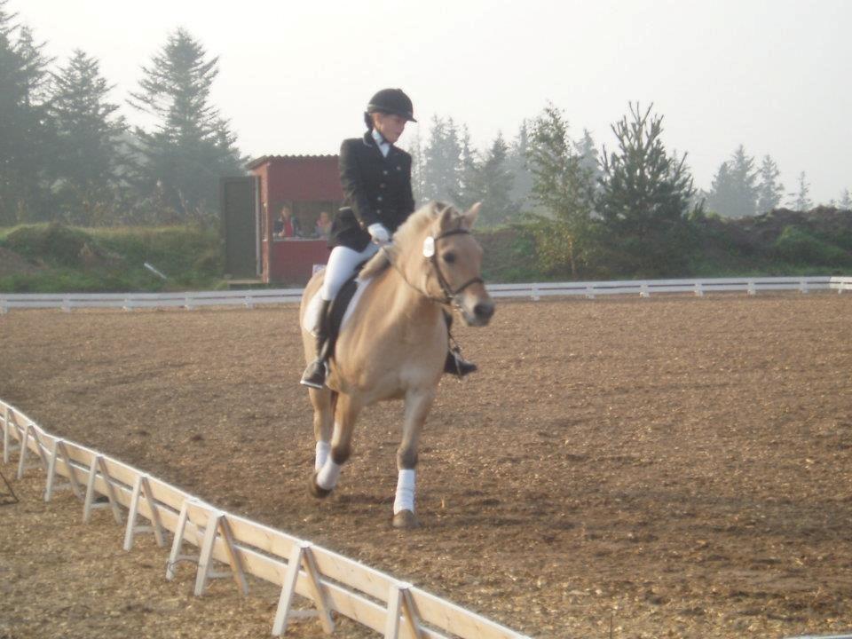 Fjordhest Frida (Tidl. pony;() - Dejlig frisk! billede 20