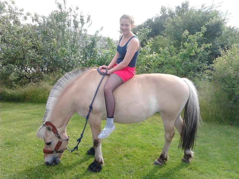 Fjordhest Frida (Tidl. pony;() - SOMMER! billede 21