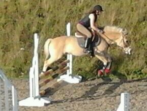 Fjordhest Frida (Tidl. pony;() - Så kan rytteren finde ud af at hjælpe!  billede 4