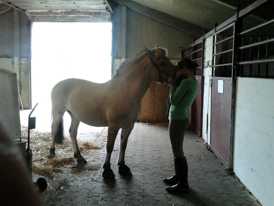 Fjordhest Frida (Tidl. pony;() - Mig og Dig, Dig og Mig billede 28