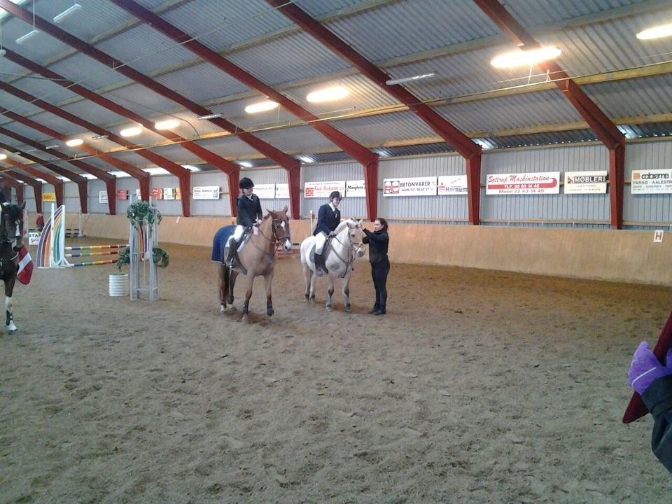 Fjordhest Frida (Tidl. pony;() - Sidste stævne sammen...! billede 32