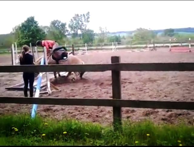 Fjordhest Frida (Tidl. pony;() - Våd fornøjelse! X( billede 39