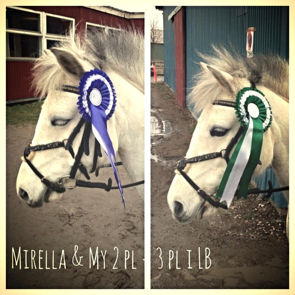 DSP Ryttergaardens Lille My<3 - Mig og my fik en 2 plads i lb1* og en 3 plads i lb2**! så nu må vi starte la <3 billede 14
