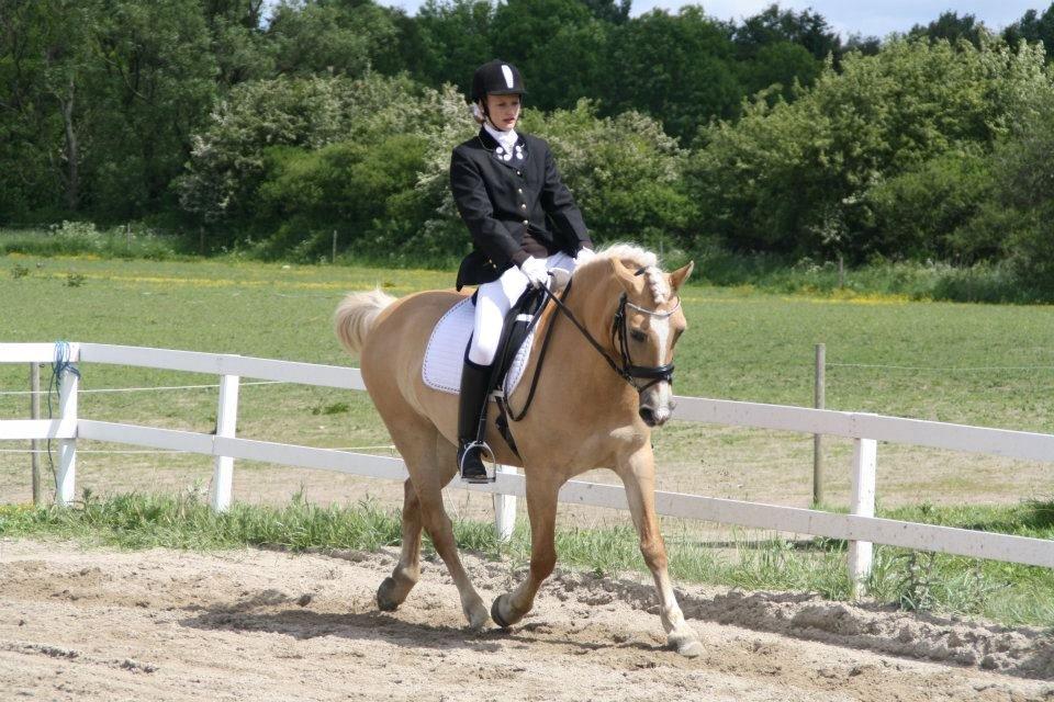 Anden særlig race Duchesse II billede 3