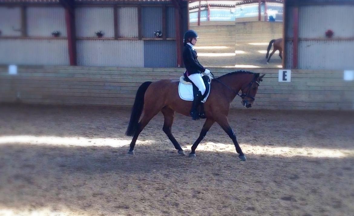 DSP Nikita billede 35