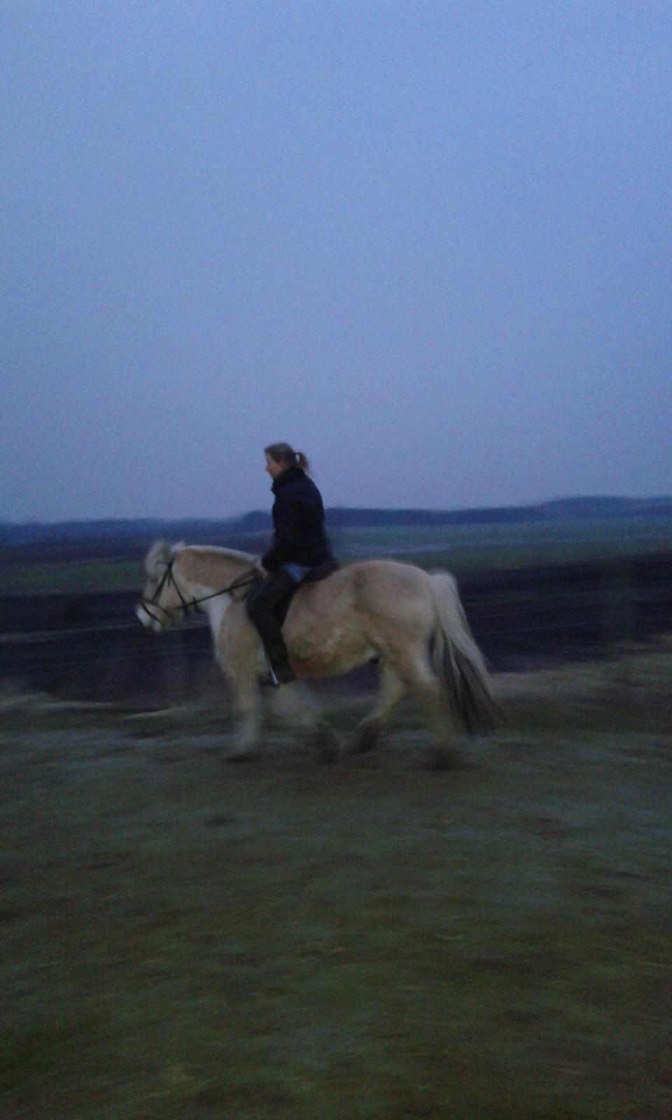 Anden særlig race Laban billede 9