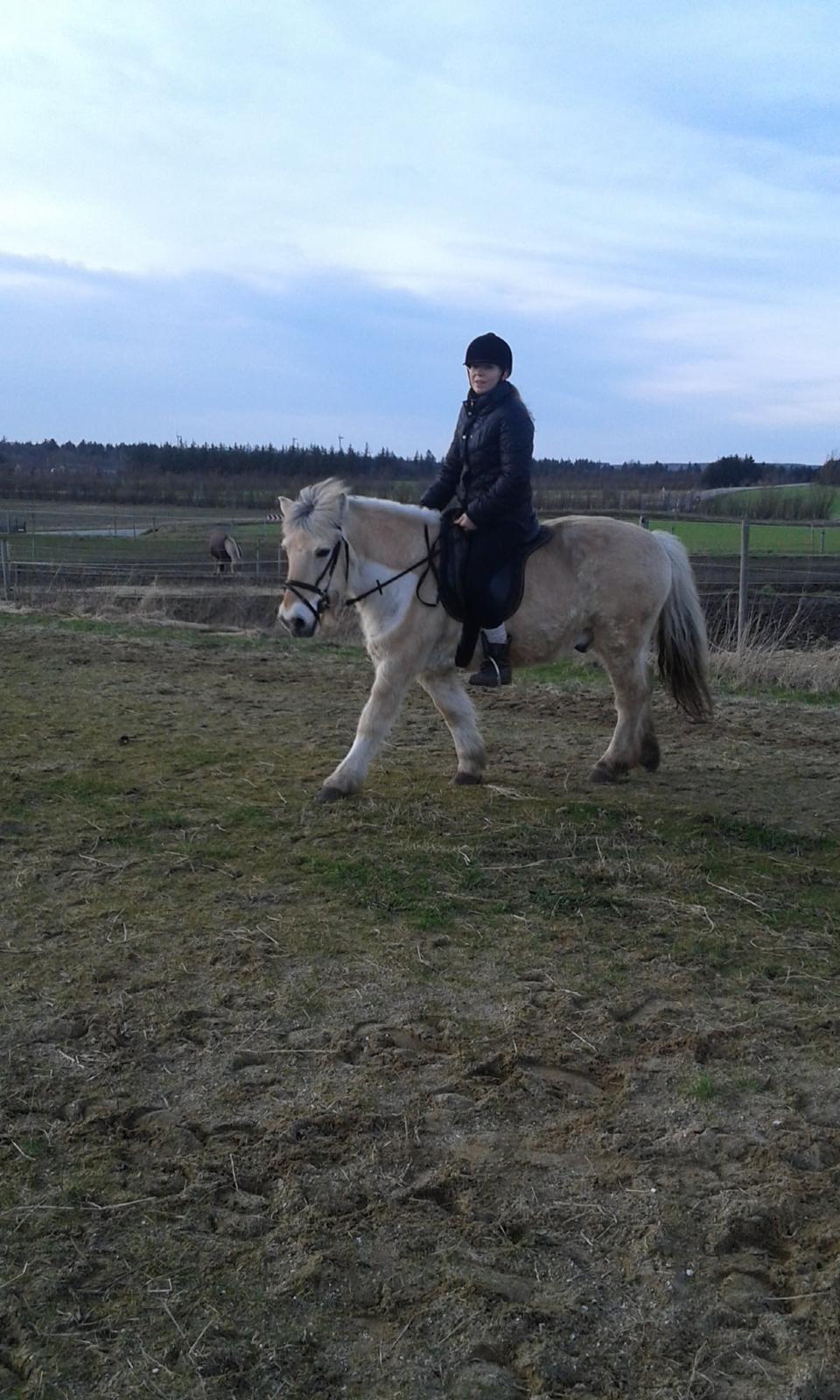 Anden særlig race Laban billede 12