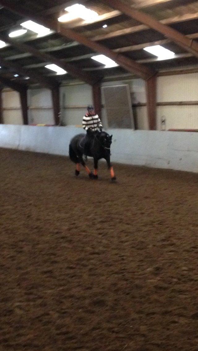 Frieser Kamira faw Dean billede 17