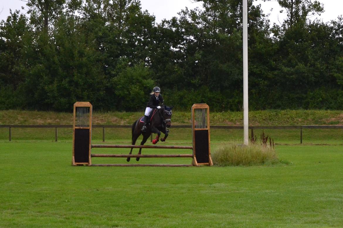 DSP Kjær's Calderina billede 12