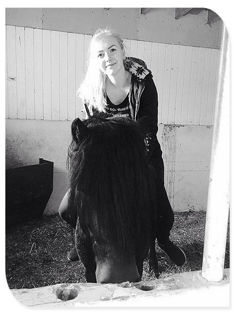 Dartmoor Anc-Neu Kao billede 2